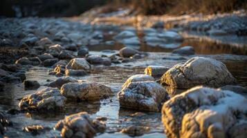 A riverbed lined with unusual rock formations looking like a host of aquatic creatures frozen in time photo