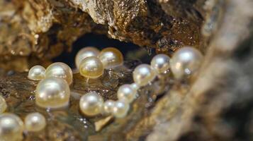 The everchanging nature of cave pearls growing and evolving over centuries creating a neverending display of beauty and wonder photo