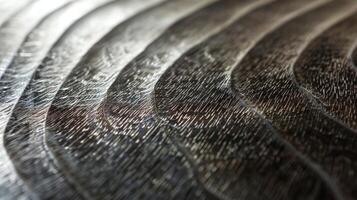 A closeup of steel brushed to perfection with subtle ridges and grooves that create a velvety smooth feeling under the fingertips photo