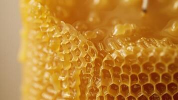 The soft and pliable texture of a newly lit beeswax candle with its distinct waxy scent wafting through the air photo