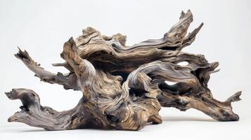 This piece of gnarled driftwood boasts a rugged texture of protruding branches and tangled roots resembling a miniature tree frozen in time photo