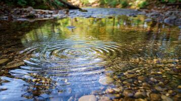 A closeup of a crystalclear stream showcasing the stunning detail of each individual ripple and the way it distorts the reflections of the surrounding trees and sky photo