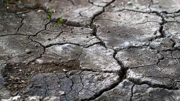 The textured concrete floor is filled with tiny cracks and crevices giving it a weathered aged appearance photo