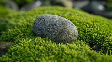 A macro shot of a small round stone completely enveloped in a lush velvety moss showcasing the contrast between the rough and smooth surfaces photo