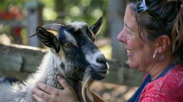 A the teaching a client coping skills while they brush a therapy goat photo