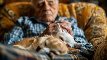 An elderly man napping in his recliner chair with his emotional support chihuahua curled up on his lap photo