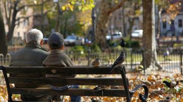 An elderly man and a child sit together on a park bench quietly watching the birds and squirrels play photo