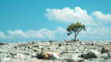 A lone tree standing tall in a barren landscape representing resilience and strength found in nature photo