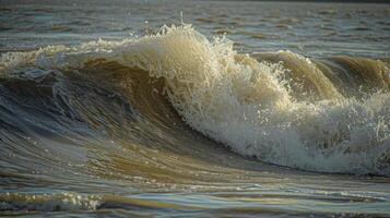 The river transforms into a playground for surfers as they ride the waves of the tidal bore photo