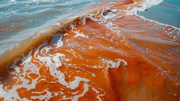 As the red tide moves on it leaves a path of destruction and devastation in its wake a reminder of the harm we inflict on the ocean photo