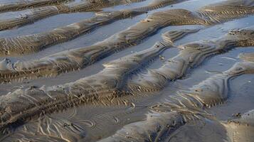 The rhythmic ebb and flow of the tides leave behind intricate patterns on the muddy surface of the tidal flats photo