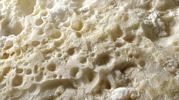 Small air pockets within the granular salt create a porous and spongelike texture giving it a unique feel under the fingers photo