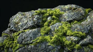 A shadowy closeup of a mosscovered boulder with layers of fuzzy emerald green growth adding depth and dimension to its co rocky exterior photo