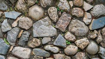 The worn pebbles of this path show years of foot traffic with cracks and chips adding character to the texture photo