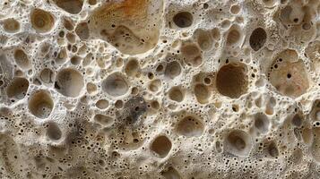 A closeup of rough pumice reveals a mottled surface with varying sizes and shapes of rough bumps and holes tered throughout photo