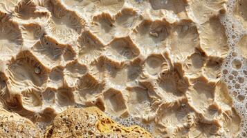 The co and unforgiving nature of this beach sand is evident in the intricate patterns and indentations that cover its surface photo