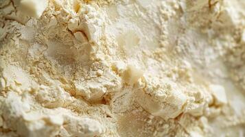 An extreme closeup of flour shows a gritty texture with individual particles visible to the d eye photo