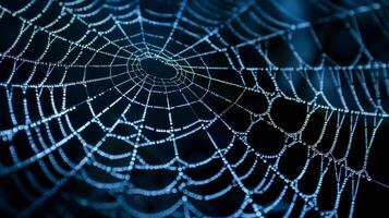 A detailed shot of a silky spider web with intricate patterns of inter threads creating a mesmerizing sight photo