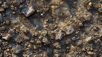 This muddy texture is dotted with bits of gravel and stones giving it a rough and rocky look photo