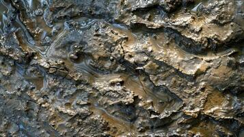 Clinging to the surface the thick mud creates a glossy and uneven texture with ripples and crevices photo