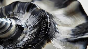 The smooth and shiny texture of a black and white shell with alternating bands of glossy and matte finishes photo