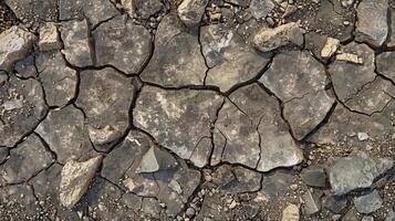 A cracked desolate ground with small tered pebbles and rocky debris photo