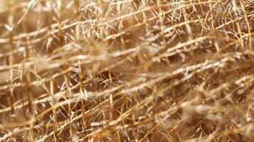 Thin frayed threads overlapping and intertwining forming a delicate and intricate pattern photo