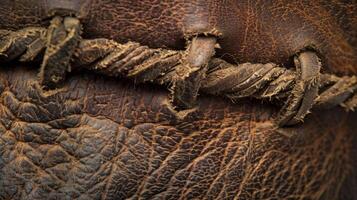 A weathered leather with a rugged and knotted appearance showing signs of wear from exposure to the elements photo