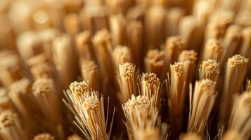 An intense look at the fine needlelike bristles of a brush showcasing their rigid hooked shape and rough surface photo