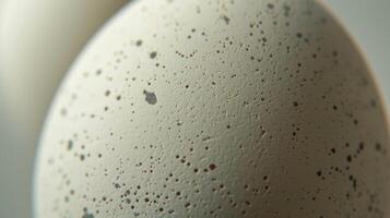 The delicate speckles appear to have been randomly distributed giving each eggshell a unique pattern and adding to the natural beauty of the surface photo
