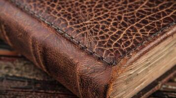 Weathered Texture The embossed leather has a weathered texture with deep crevices and raised bumps that add depth and character to the book cover photo