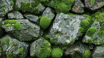 A shot of mosscovered rocks the spongy texture of the moss providing a soft contrast to the rough surface of the stone photo