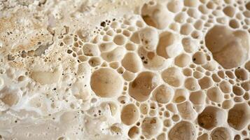 Small porous pores are tered throughout the surface creating a natural and organic texture photo