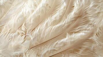 Ranging in shades of ivory cream and taupe every down feather has its own unique pattern and texture. Some appear smooth and glossy while others have a slight fuzziness to them photo