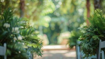 Blurred backdrop of an intimate outdoor ceremony surrounded by tall trees and lush bushes photo