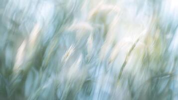 Soft blurred forms swaying in sync with the gentle breeze photo