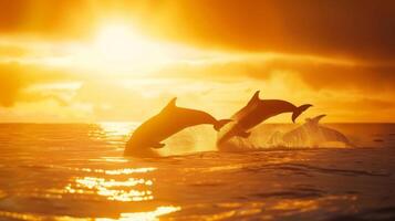 A hazy defocused view of the oceans horizon capturing the playful silhouettes of breaching whales against the warm tones of a golden sunset. photo