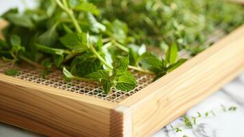 A wooden herb drying rack with a mesh bottom perfect for drying delicate herbs like chamomile and lemon balm photo