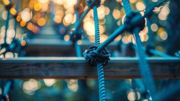 Faint ropes course in the background challenging visitors to push their limits photo