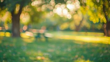 Soft blurred colors of a park picnic creating a peaceful and inviting atmosphere for all to enjoy photo