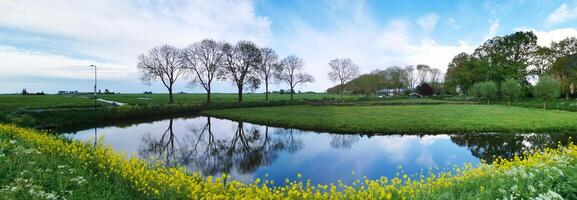 Typical canal landscape in Netherlands photo