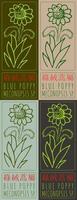 Set of drawing BLUE POPPY in Chinese in various colors. Hand drawn illustration. The Latin name is MECONOPSIS SP. vector