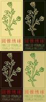 Set of drawing PANICLED HYDRANGEA in Chinese in various colors. Hand drawn illustration. The Latin name is HYDRANGEA PANICULATA S. vector