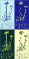 Set of drawing Blue alpine daisy in various colors. Hand drawn illustration. The Latin name is Aster alpinus L. vector