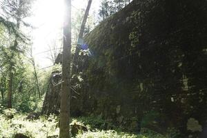 Ketrzyn, Gierloz, Poland - May 11th 2024 - Ruins of a bunker in Wolf's Liar photo