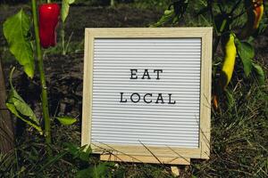 Letter board with text EAT LOCAL on background of garden bed with bell pepper. Organic farming, produce local vegetables concept. Supporting local farmers. Seasonal market photo
