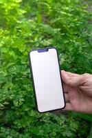 Artificial intelligent management system in farm. Smart gardening at home. Empty white screen mobile phone sample. Futuristic ai technologies in farming agriculture. photo
