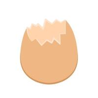 Broken egg . Egg on white background. vector