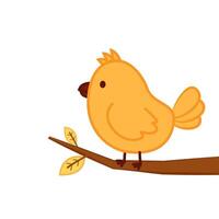 Bird cartoon . A bird perched on a branch. vector