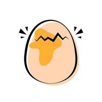 Broken egg . Egg on white background. vector